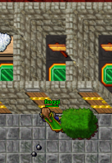 Start Questa Backpack